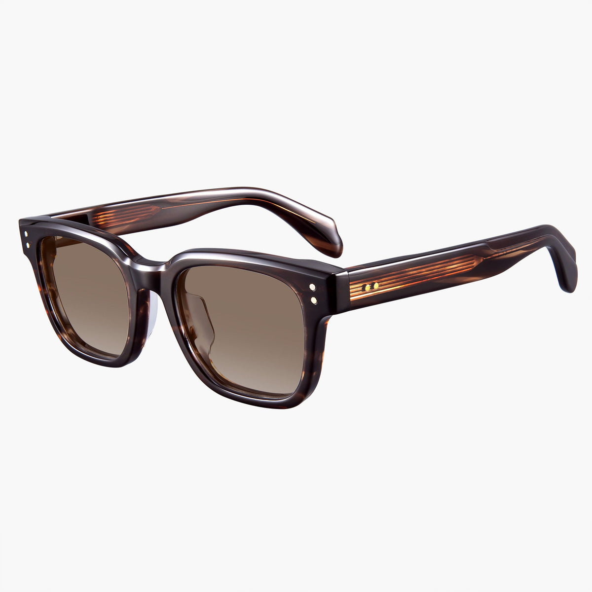 Holden Sunglasses Tortoise