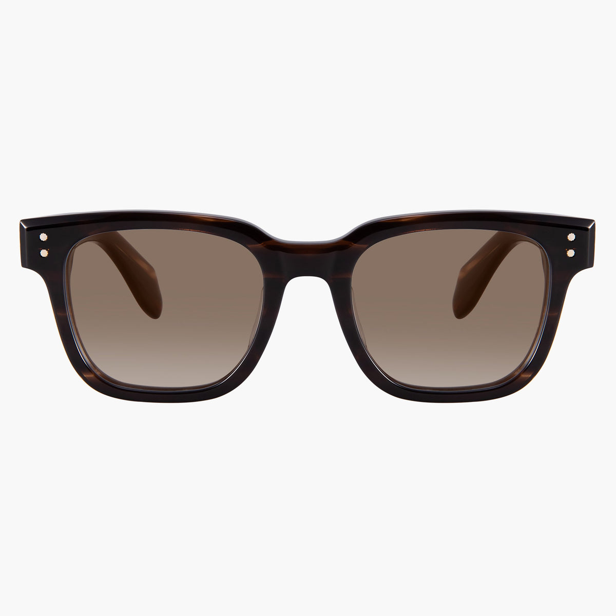 Holden Sunglasses Tortoise