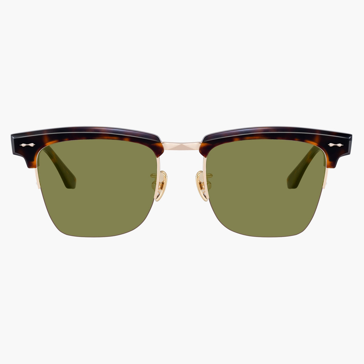Elara Tortoise