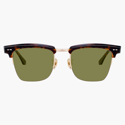 Elara Tortoise