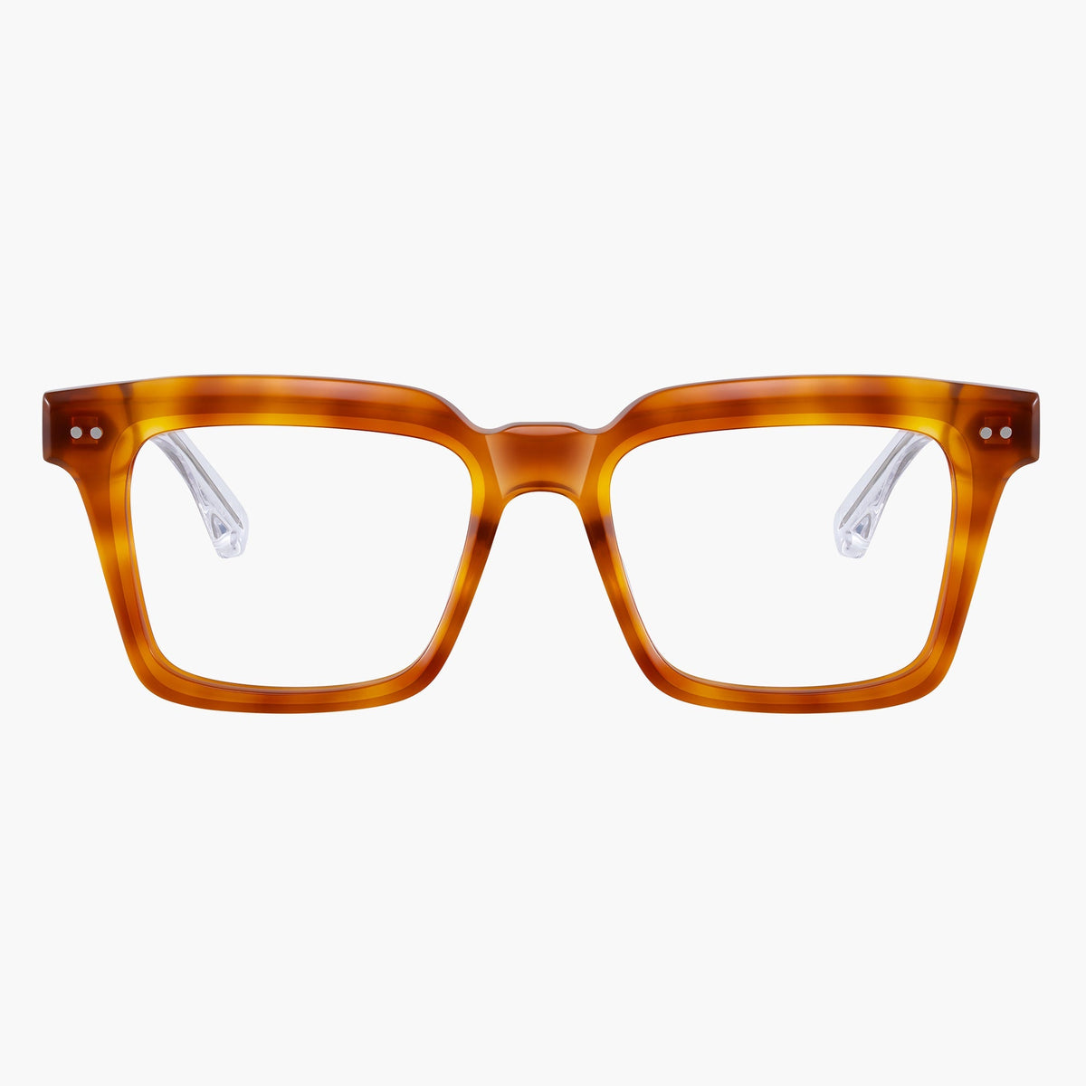 Kenelm Eyeglasses Tortoise